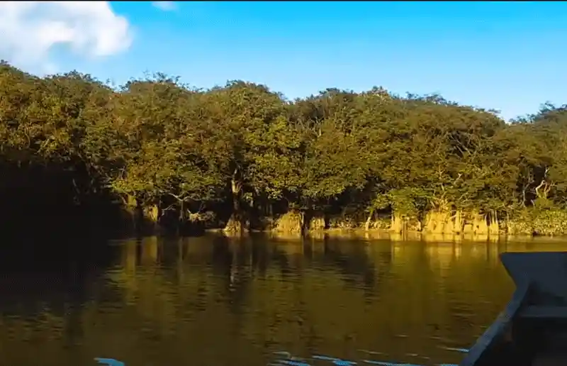 Sylhet Tourist Spots