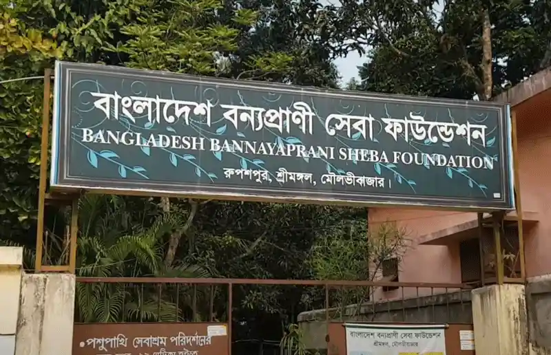 Zoo of Shitesh Babur