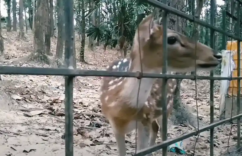 Sylhet Tourist Spots